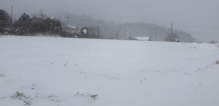 충남 예산군 덕산면 상가리 372 답 사진 4