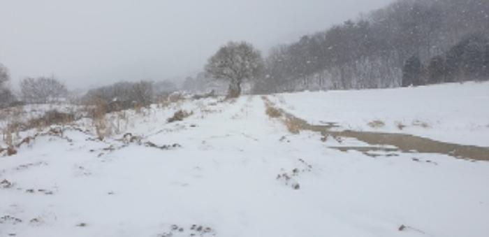 충남 예산군 덕산면 상가리 372 답 사진 5