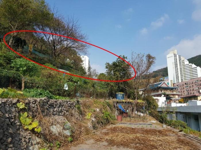 법원경매 2023타경108945 사진5 | 부산 사하구 감천동 12-428 토지 경매