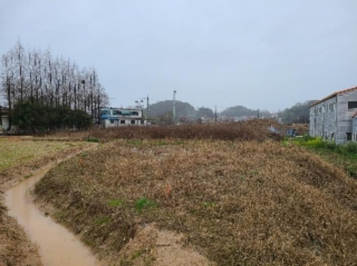 법원경매 2024타경2485 사진5 | 광주 북구 월출동 91 토지 경매