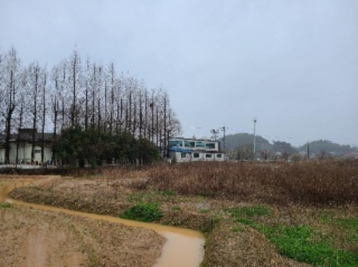 법원경매 2024타경2485 사진6 | 광주 북구 월출동 91 토지 경매