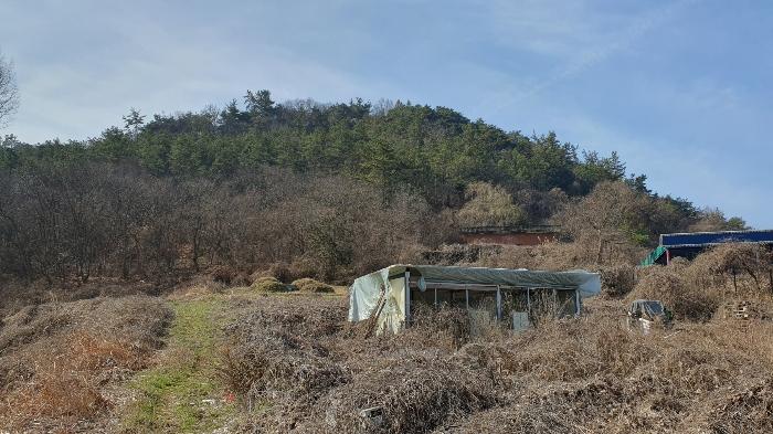 2024타경63572 법원경매 사진3 | 전남 화순군 토지 경매