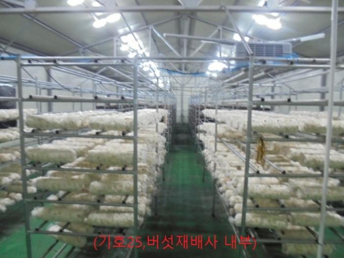 2023타경33053 법원경매 사진70 | 충북 충주시 단독주택 경매