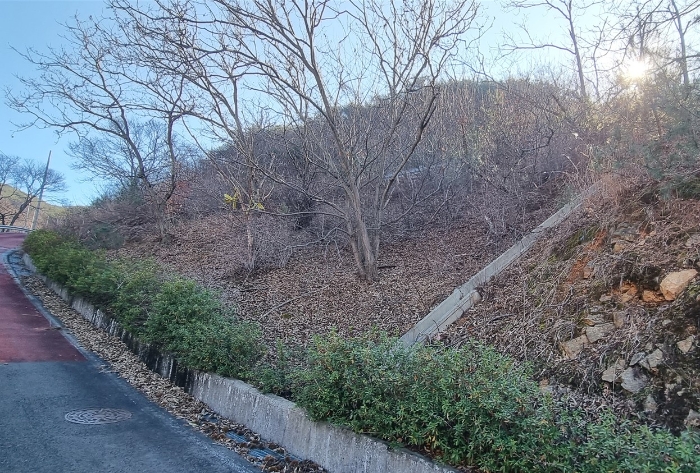 2023타경6580 법원경매 사진3 | 경남 하동군 교육시설 경매