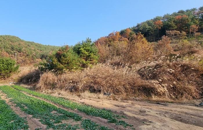 2023타경38457 법원경매 사진2 | 경남 남해군 토지 경매