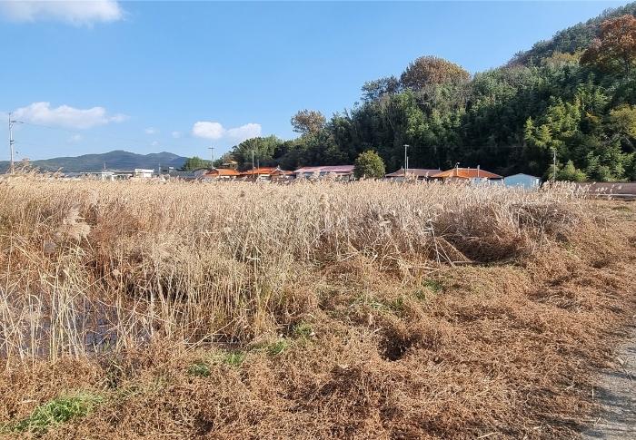 2023타경38457 법원경매 사진5 | 경남 남해군 토지 경매