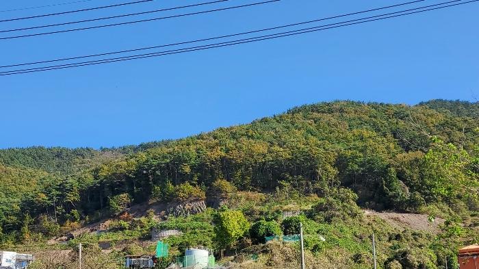 2023타경5122 법원경매 사진6 | 경남 거제시 토지 경매