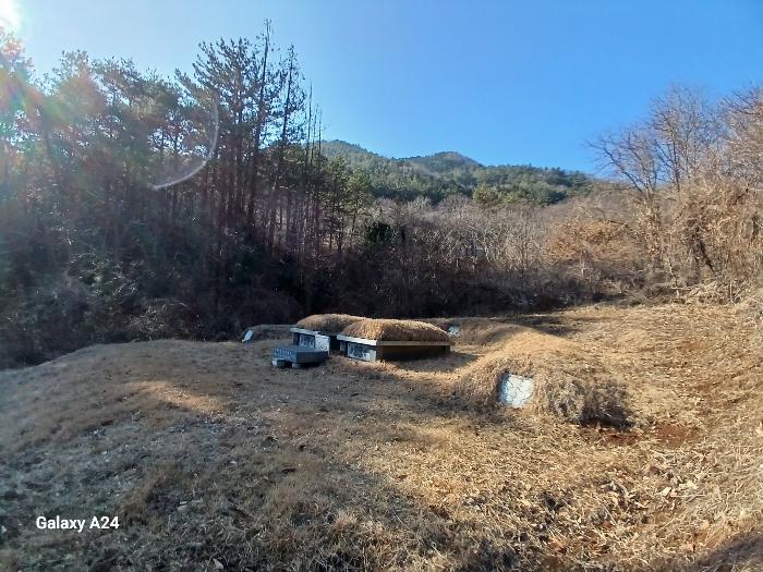 2023타경60940 법원경매 사진2 | 전남 순천시 토지 경매