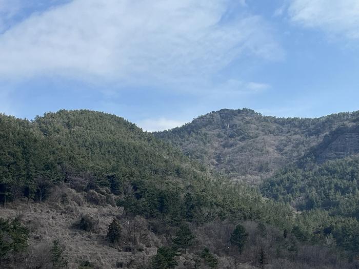 법원경매 2024타경31569 사진3 | 남해군 남면 상가리 274 토지 경매