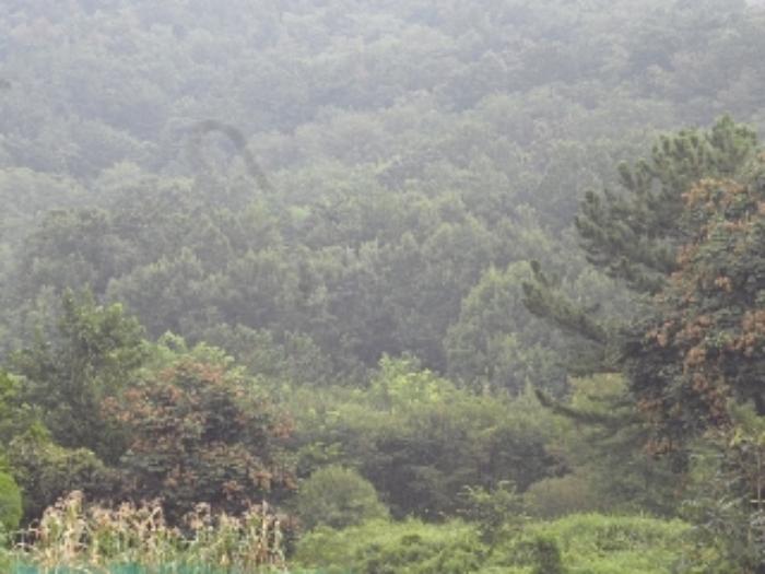 법원경매 2023타경12048 사진5 | 창녕군 영산면 성내리 149 토지 경매