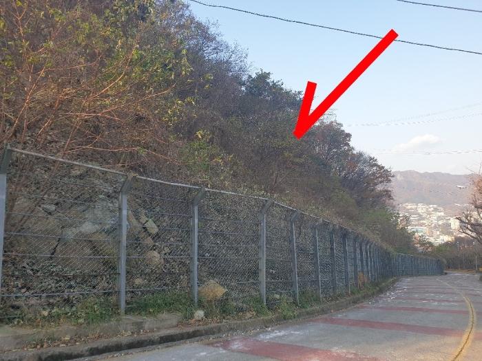 부산광역시 기장군 정관읍 달산리 산24 법원경매 물건 대표사진