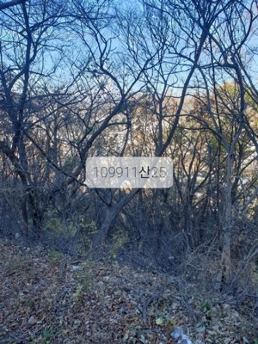 법원경매 2023타경109911 사진10 | 부산 기장군 정관읍 달산리 토지 경매
