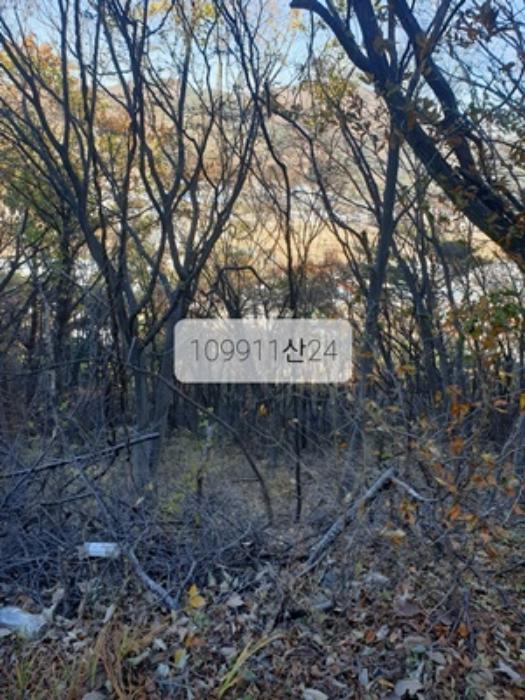 법원경매 2023타경109911 사진8 | 부산 기장군 정관읍 달산리 토지 경매