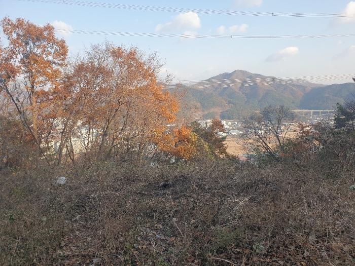법원경매 2023타경109911 사진2 | 부산 기장군 정관읍 달산리 토지 경매