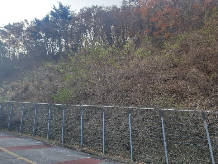 법원경매 2023타경109911 사진4 | 부산 기장군 정관읍 달산리 토지 경매
