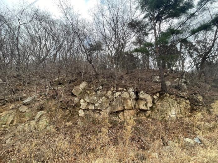 2024타경394 법원경매 사진3 | 부산 기장군 토지 경매