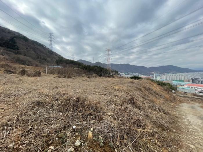 법원경매 2024타경394 사진4 | 부산 기장군 정관읍 달산리 토지 경매