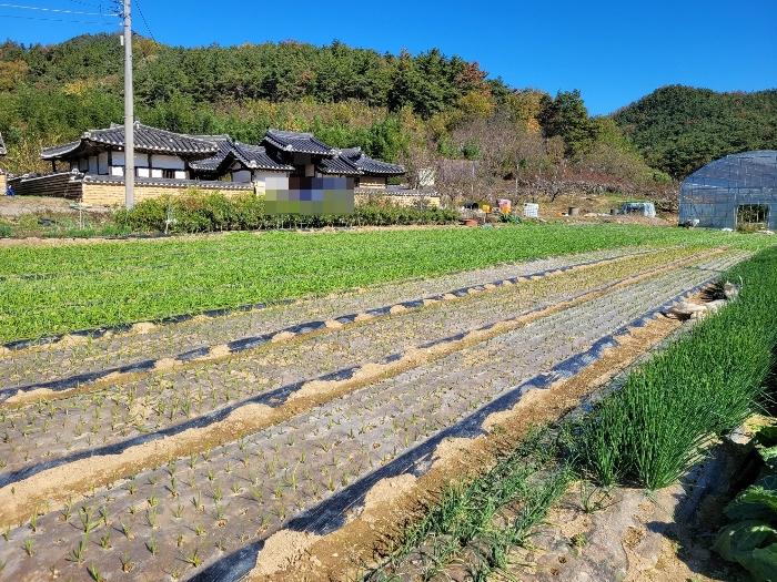 경상남도 창녕군 대합면 대동리 291 법원경매 물건 대표사진