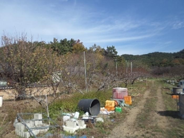 법원경매 2023타경2157 사진25 | 창녕군 대합면 대동리 291 토지 경매