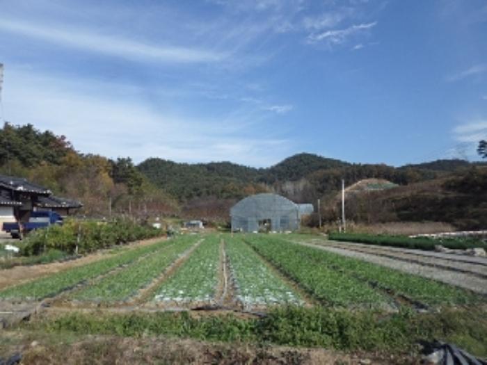 법원경매 2023타경2157 사진27 | 창녕군 대합면 대동리 291 토지 경매