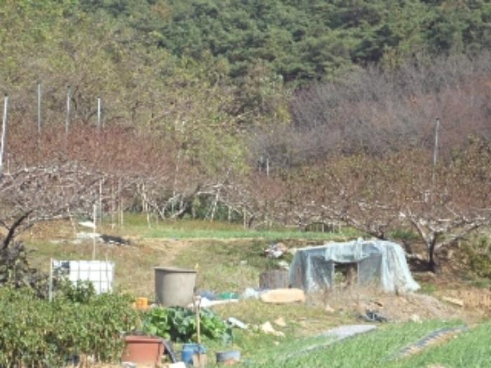 법원경매 2023타경2157 사진28 | 창녕군 대합면 대동리 291 토지 경매