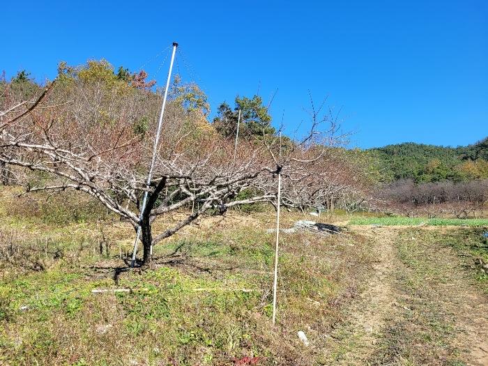법원경매 2023타경2157 사진6 | 창녕군 대합면 대동리 291 토지 경매