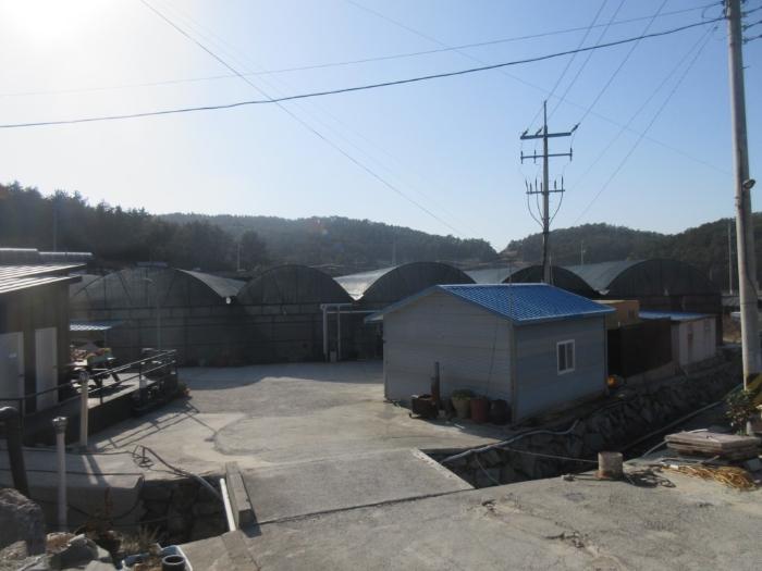 2023타경1876 법원경매 사진2 | 전남 완도군 양어장 경매