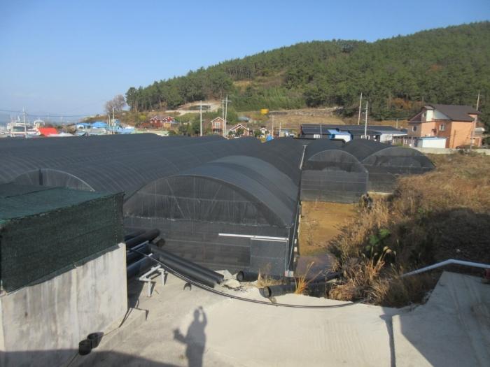2023타경1876 법원경매 사진3 | 전남 완도군 양어장 경매