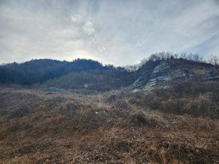 경남 사천시 실안동 산247-1 임야 사진 2