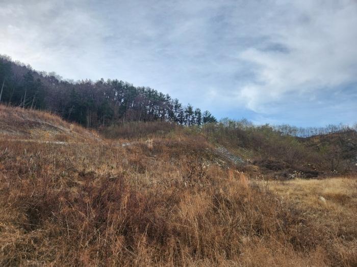 경남 사천시 실안동 산247-1 임야 사진 3