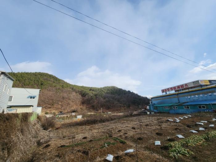 전남 광양시 성황동 산63-1 임야 사진 2