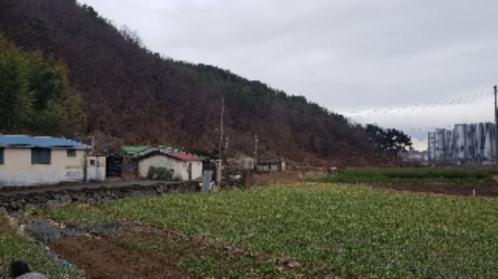 전남 광양시 성황동 산63-1 임야 사진 4