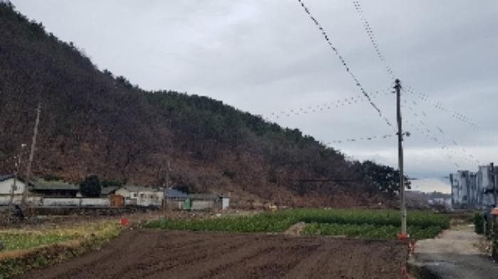 전남 광양시 성황동 산63-1 임야 사진 5