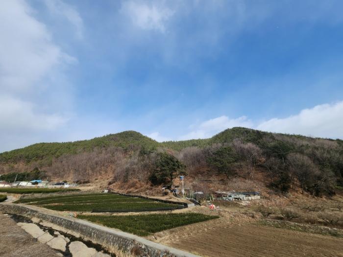 전라남도 광양시 성황동 산63-3 법원경매 물건 대표사진