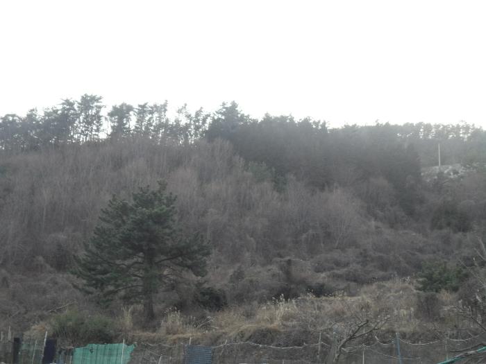 2024타경21299 법원경매 사진3 | 경남 거제시 토지 경매