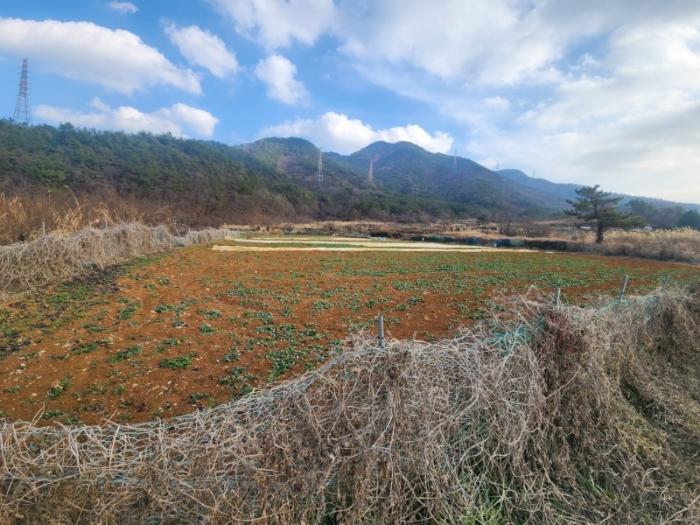 경남 고성군 거류면 가려리 460 답 사진 4