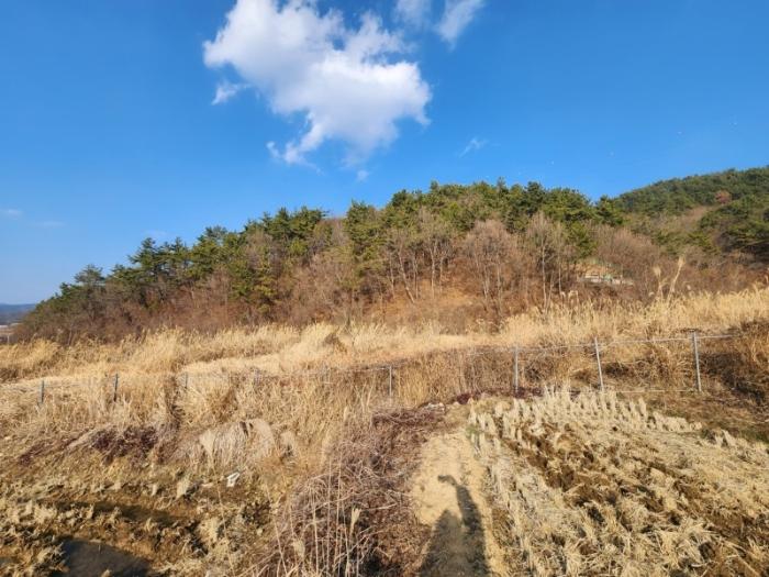2023타경5887 법원경매 사진3 | 경남 고성군 토지 경매