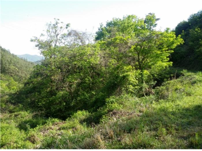 2024타경1443 법원경매 사진14 | 전남 보성군 창고 경매