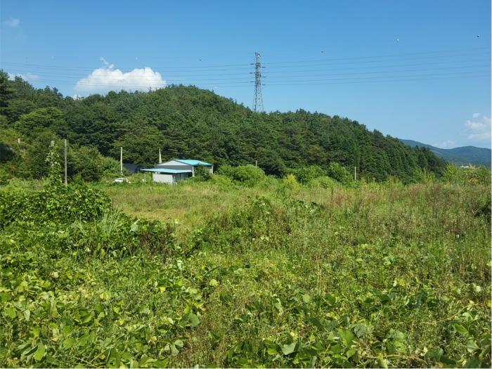2024타경1443 법원경매 사진20 | 전남 보성군 창고 경매