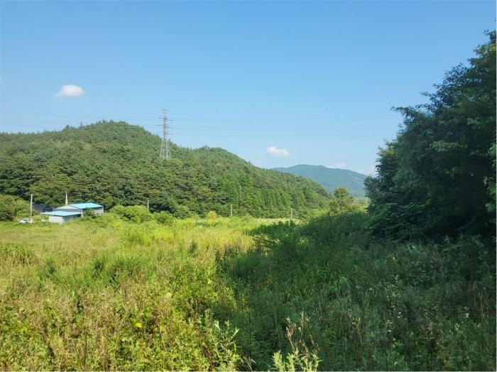 2024타경1443 법원경매 사진31 | 전남 보성군 토지 경매