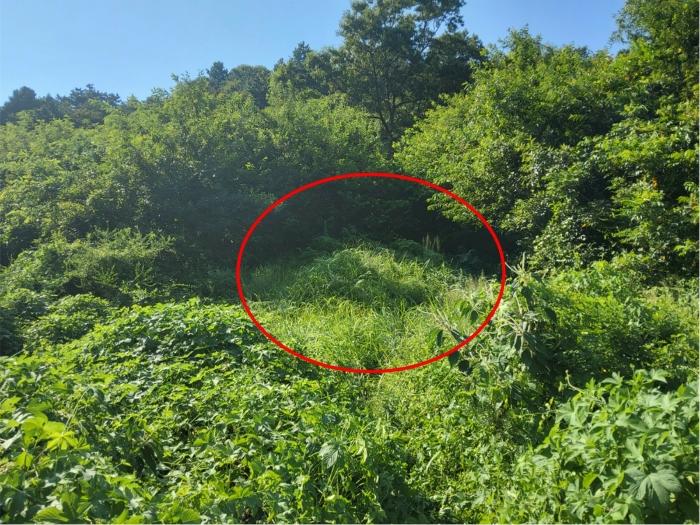2024타경1443 법원경매 사진63 | 전남 보성군 토지 경매