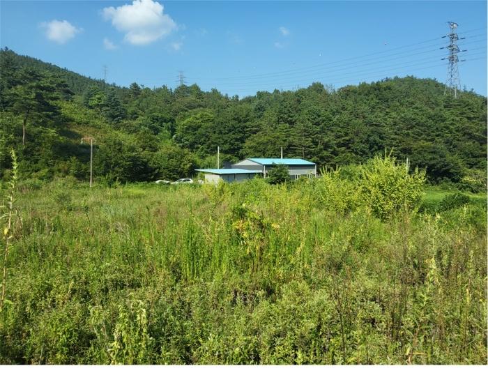 2024타경1443 법원경매 사진2 | 전남 보성군 토지 경매