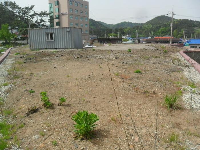 2024타경1268 법원경매 사진3 | 경북 경주시 토지 경매