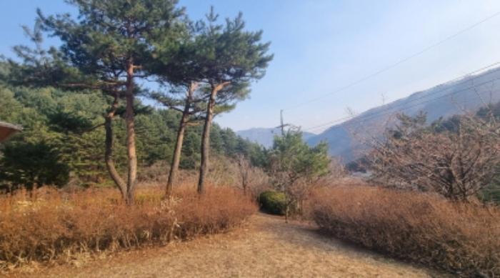 법원경매 2024타경72162 사진33 | 가평군 북면 백둔리 709-5 펜션(캠핑장) 경매