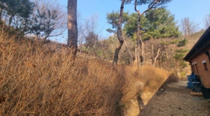 법원경매 2024타경72162 사진37 | 가평군 북면 백둔리 709-5 펜션(캠핑장) 경매