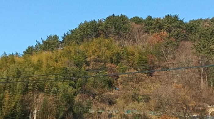 2024타경26843 법원경매 사진16 | 경남 거제시 토지 경매