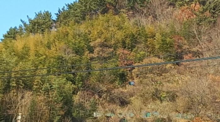 2024타경26843 법원경매 사진17 | 경남 거제시 토지 경매