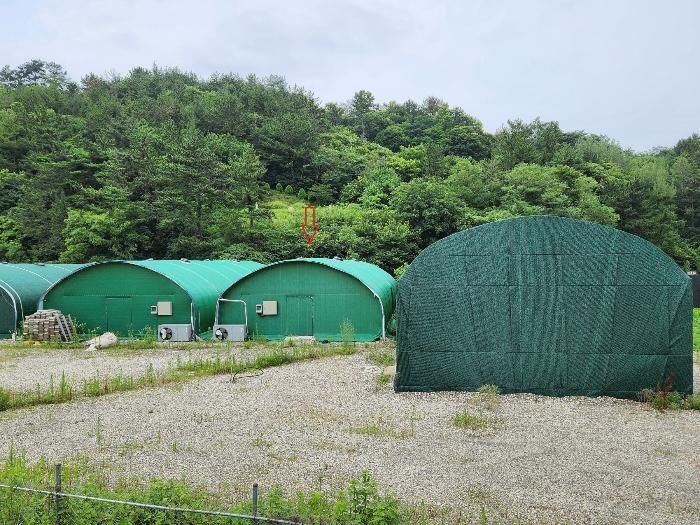 법원경매 2024타경3793 사진4 | 하동군 진교면 양포리 351-2 토지 경매
