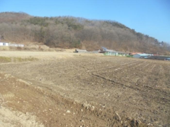충청북도 충주시 앙성면 강천리 229-5 법원경매 물건 대표사진