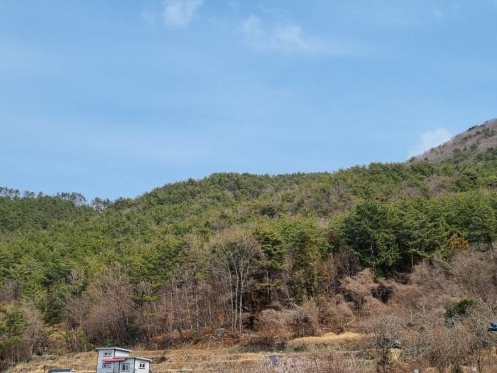 2024타경1226 법원경매 사진2 | 경남 거제시 토지 경매